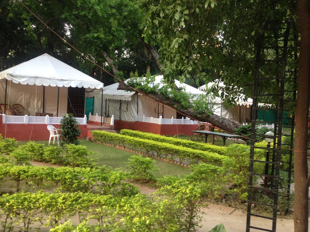 The Aravali Tent Resort Udaipur Bilik gambar